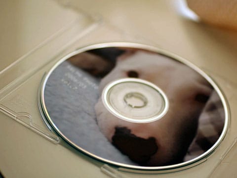 CD