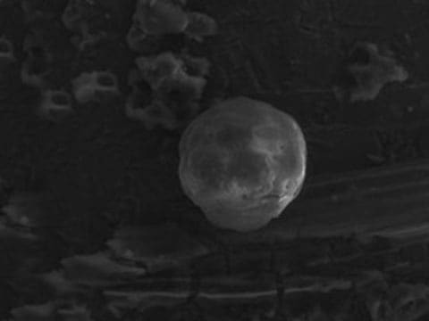 Tyto mikrosféry objevili vědci v geologických usazeninách v Kanadě, Španělsku, Dánsku a na Novém Zélandu.