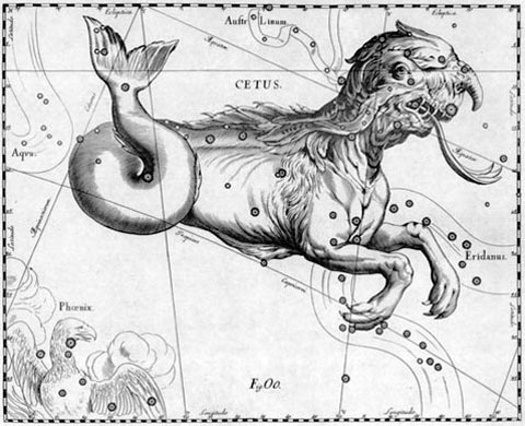 Astronom Jan Hevelius neznal žádnou velrybu, proto se toto zvíře ve svém hvězdném atlasu "Uranografie" (Firmamentum Salesianum Sive Uranographia) vědec rozhodl znázornit takto. A co se týče Miry, tak ta se nachází (u Velryby) v oblasti hmm....pravé lopatky.