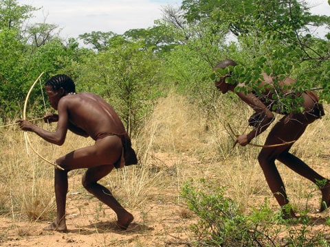 Zvláštní pozornost byla udělena analýze DNA khoisanských národů, jejichž jazyk je považován za archaický a i nyní to jsou hlavně lovci a sběratelé, kteří podle vědců v sobě nesou pravěké genetické stopy.