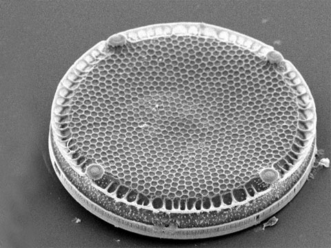 Pevné stěny rozsivky (Diatomeae, syn Bacillariophyceae, jsou velkou skupinou jednobuněčných fotosyntetizujících organismů s s dvojdílnou křemičitou schránkou, tradičně řazenou mezi hnědé řasy) jsou prostoupeny otvory s rozměry v nanometrech